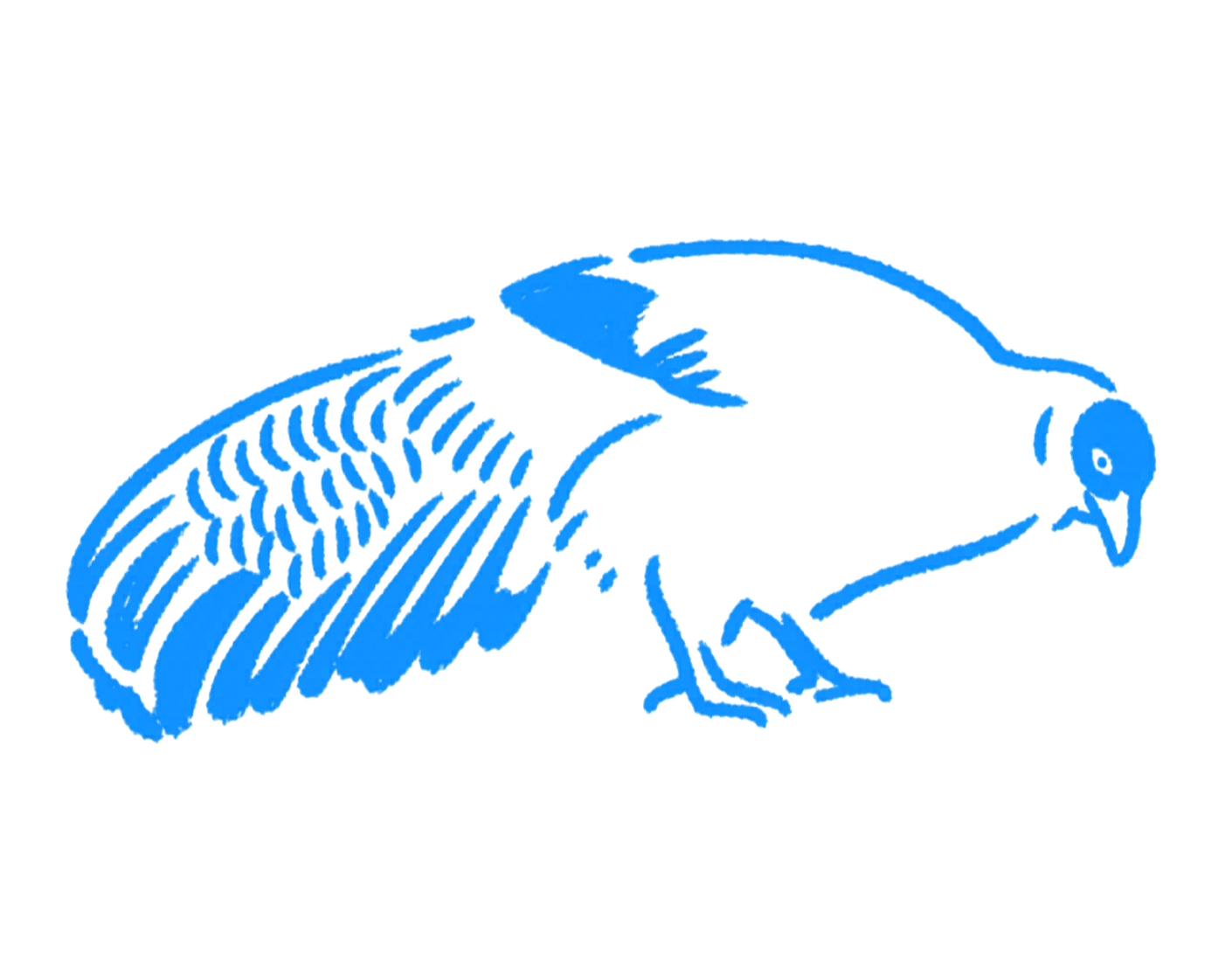 Population Dynamics and Distribution of the White Eared Pheasant: A Case Study from Aba County, China