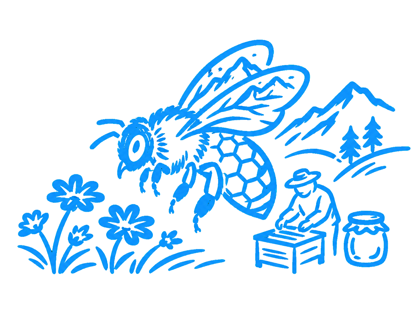From Honey to Coexistence: What Xiaohegou Taught Me About Conservation